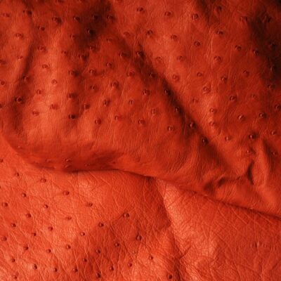 Cuir d'autruche orange Ruadh sellier maroquinier Bretagne Rennes Cuir d'autruche orange Ruadh sellier maroquinier Bretagne Rennes