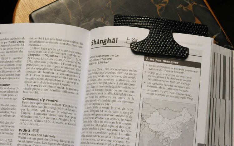 marque-pages en cuir façon lézard noir Ruadh sellier maroquinier Bretagne Rennes marque-pages en cuir façon lézard noir Ruadh sellier maroquinier Bretagne Rennes